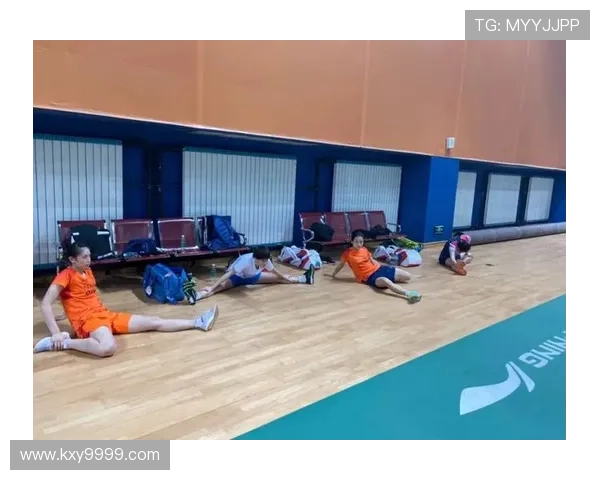 杭州羽毛球队与南京羽毛球队赛后状态分析与复盘总结